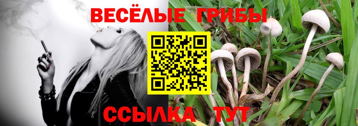 наркота  Вход с VPN  Артёмовский  Галлюциногенные грибы прущие грибы 